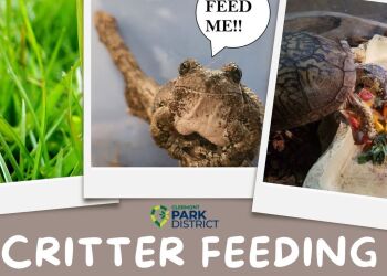 Critter Feed flyer